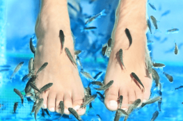 Fish SPA_Albufeira_SPA Zensation